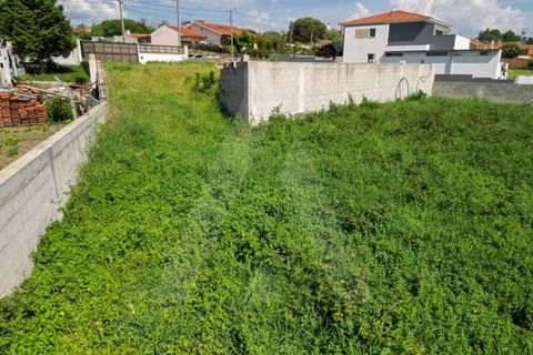 Helårsgrund i Estarreja, Aveiro, Estarreja - € 72.500 | Ref: 1012390/25 GL - foto 4