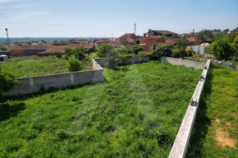 Helårsgrund i Estarreja, Aveiro, Estarreja - € 72.500 | Ref: 1012390/25 GL - foto 5
