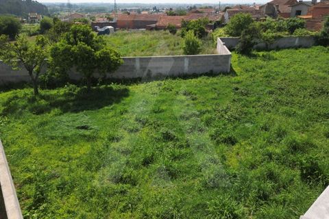 Helårsgrund i Estarreja, Aveiro, Estarreja - € 72.500 | Ref: 1012390/25 GL - foto 6