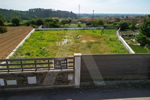 Helårsgrund i Estarreja, Aveiro, Estarreja - € 72.500 | Ref: 1012390/25 GL - foto 12