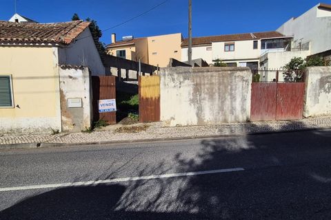 Helårsgrund i Cadaval, Lisbon, Cadaval - € 37.900 | Ref: 381641001 - foto 2