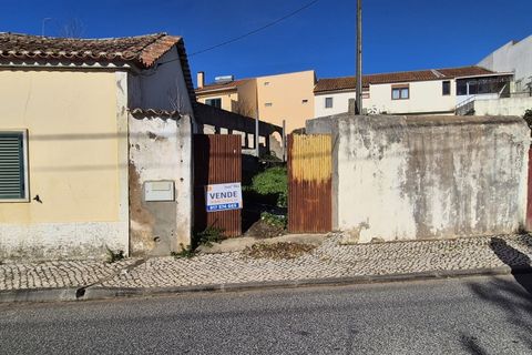 Helårsgrund i Cadaval, Lisbon, Cadaval - € 37.900 | Ref: 381641001 - foto 1