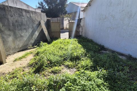 Helårsgrund i Cadaval, Lisbon, Cadaval - € 37.900 | Ref: 381641001 - foto 7