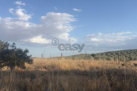 Terra a Castro Verde, Beja, Castro Verde - € 93.000 | Ref: 281671021 - foto 3