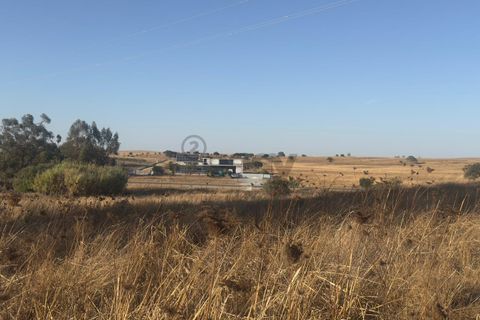 Terra a Castro Verde, Beja, Castro Verde - € 93.000 | Ref: 281671021 - foto 5