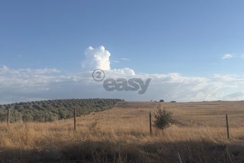 Terra a Castro Verde, Beja, Castro Verde - € 93.000 | Ref: 281671021 - foto 6