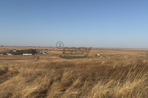Terra a Castro Verde, Beja, Castro Verde - € 93.000 | Ref: 281671021 - foto 7