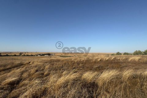 Terra a Castro Verde, Beja, Castro Verde - € 93.000 | Ref: 281671021 - foto 8