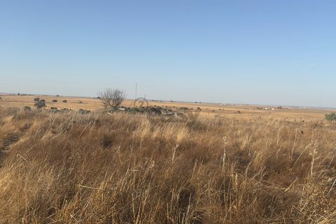 Terra a Castro Verde, Beja, Castro Verde - € 93.000 | Ref: 281671021 - foto 14