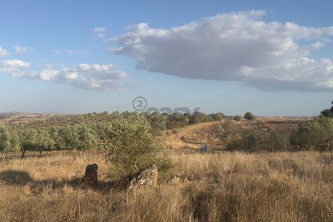 Terra a Castro Verde, Beja, Castro Verde - € 93.000 | Ref: 281671021 - foto 22