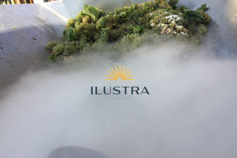 Farm i Offida, Ascoli Piceno, Offida - € 620.000 | Ref: 174 - foto 2