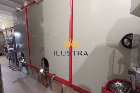 Farm i Offida, Ascoli Piceno, Offida - € 620.000 | Ref: 174 - foto 5