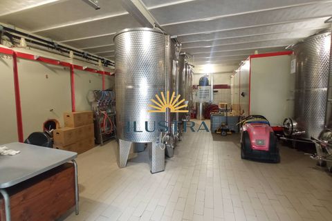 Farm i Offida, Ascoli Piceno, Offida - € 620.000 | Ref: 174 - foto 6