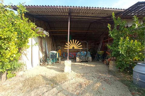 Farm i Offida, Ascoli Piceno, Offida - € 620.000 | Ref: 174 - foto 15