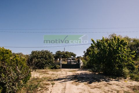 Villa i Coruche, Santarem, Coruche - € 485.000 | Ref: 17/25(1) - foto 35