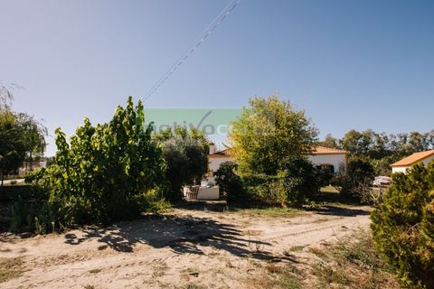 Villa i Coruche, Santarem, Coruche - € 485.000 | Ref: 17/25(1) - foto 37
