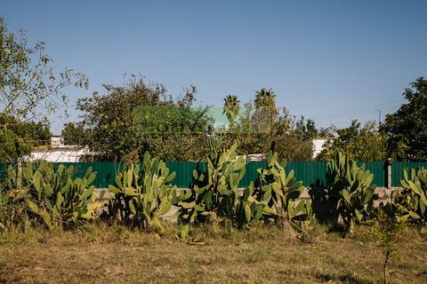Villa i Coruche, Santarem, Coruche - € 485.000 | Ref: 17/25(1) - foto 38