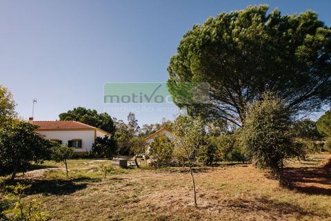 Villa i Coruche, Santarem, Coruche - € 485.000 | Ref: 17/25(1) - foto 39