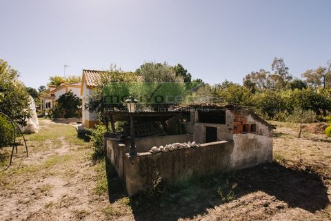 Villa i Coruche, Santarem, Coruche - € 485.000 | Ref: 17/25(1) - foto 40