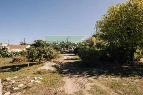 Villa i Coruche, Santarem, Coruche - € 485.000 | Ref: 17/25(1) - foto 41