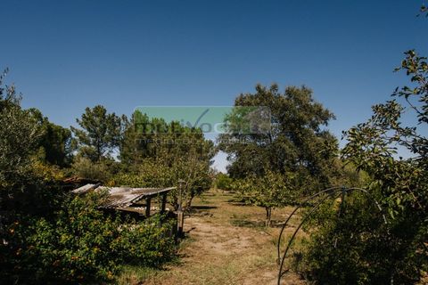 Villa i Coruche, Santarem, Coruche - € 485.000 | Ref: 17/25(1) - foto 42