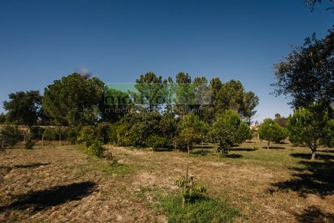 Villa i Coruche, Santarem, Coruche - € 485.000 | Ref: 17/25(1) - foto 43