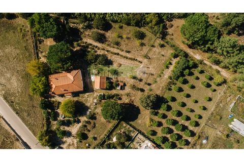 Villa i Coruche, Santarem, Coruche - € 485.000 | Ref: 17/25(1) - foto 48