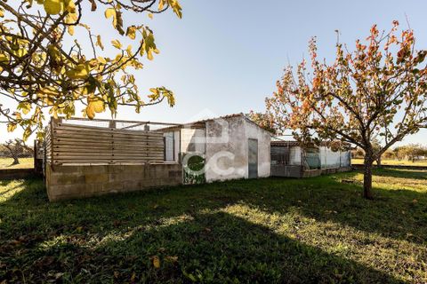 Helårsgrund i Evora, Evora, Evora - € 190.000 | Ref: 318/T/03735 - foto 10