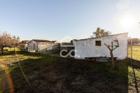 Helårsgrund i Evora, Evora, Evora - € 190.000 | Ref: 318/T/03735 - foto 11