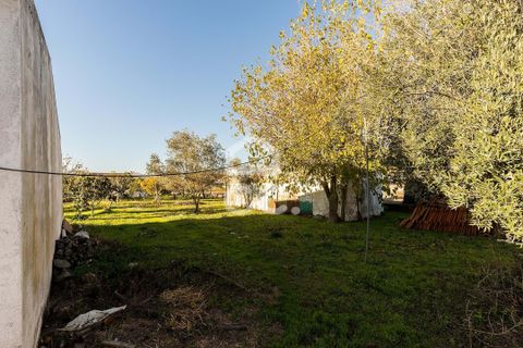 Helårsgrund i Evora, Evora, Evora - € 190.000 | Ref: 318/T/03735 - foto 13