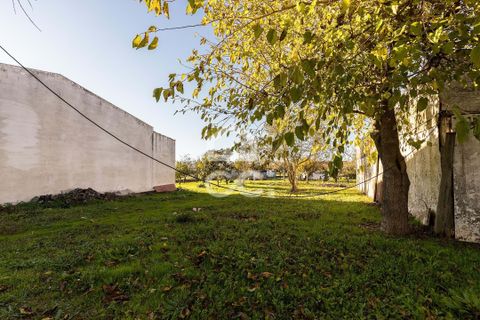 Helårsgrund i Evora, Evora, Evora - € 190.000 | Ref: 318/T/03735 - foto 14