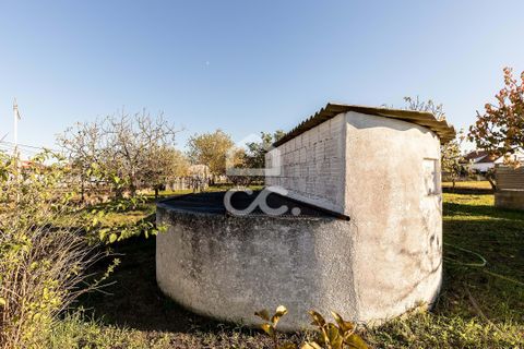 Helårsgrund i Evora, Evora, Evora - € 190.000 | Ref: 318/T/03735 - foto 15