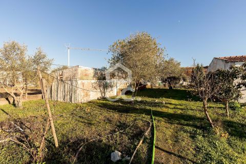 Helårsgrund i Evora, Evora, Evora - € 190.000 | Ref: 318/T/03735 - foto 17