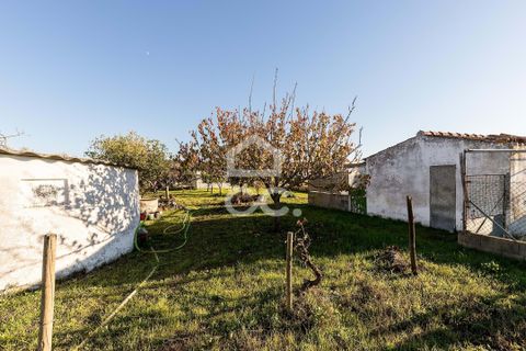 Helårsgrund i Evora, Evora, Evora - € 190.000 | Ref: 318/T/03735 - foto 18