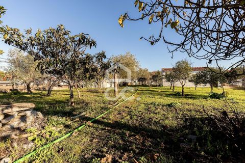 Helårsgrund i Evora, Evora, Evora - € 190.000 | Ref: 318/T/03735 - foto 21