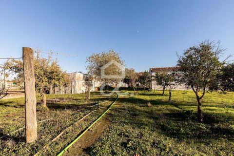 Helårsgrund i Evora, Evora, Evora - € 190.000 | Ref: 318/T/03735 - foto 22