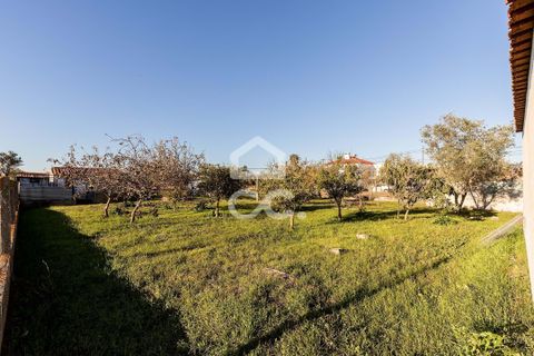 Helårsgrund i Evora, Evora, Evora - € 190.000 | Ref: 318/T/03735 - foto 24