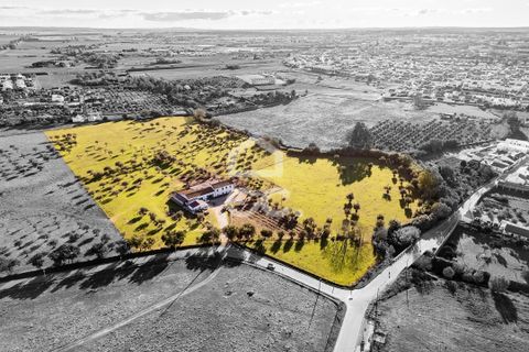 Farm hus i Evora, Evora, Evora - € 1.600.000 | Ref: 318/Q/03731 - foto 2