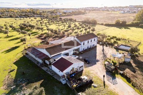 Farm hus i Evora, Evora, Evora - € 1.600.000 | Ref: 318/Q/03731 - foto 4