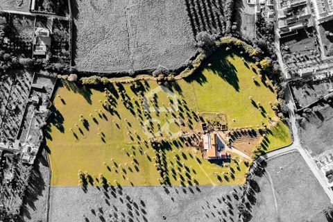 Farm hus i Evora, Evora, Evora - € 1.600.000 | Ref: 318/Q/03731 - foto 5