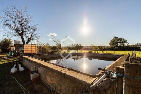 Farm hus i Evora, Evora, Evora - € 1.600.000 | Ref: 318/Q/03731 - foto 8