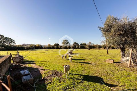 Farm hus i Evora, Evora, Evora - € 1.600.000 | Ref: 318/Q/03731 - foto 9