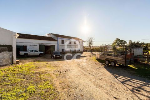 Farm hus i Evora, Evora, Evora - € 1.600.000 | Ref: 318/Q/03731 - foto 10