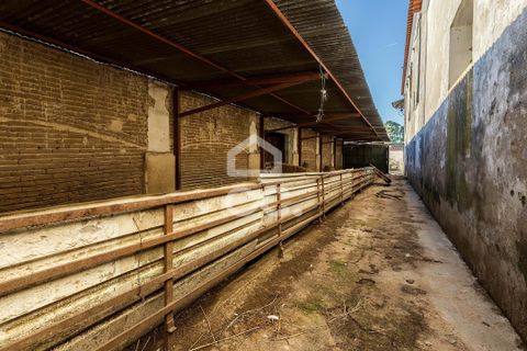 Farm hus i Evora, Evora, Evora - € 1.600.000 | Ref: 318/Q/03731 - foto 29