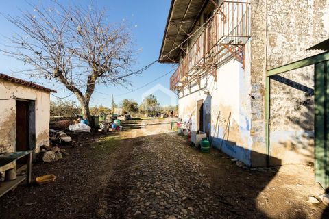 Farm hus i Evora, Evora, Evora - € 1.600.000 | Ref: 318/Q/03731 - foto 30