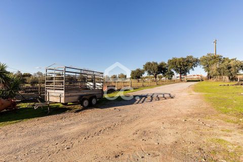 Farm hus i Evora, Evora, Evora - € 1.600.000 | Ref: 318/Q/03731 - foto 34