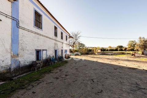 Farm hus i Evora, Evora, Evora - € 1.600.000 | Ref: 318/Q/03731 - foto 36
