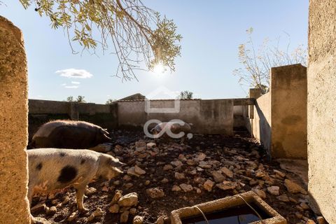 Farm hus i Evora, Evora, Evora - € 1.600.000 | Ref: 318/Q/03731 - foto 38