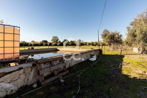 Farm hus i Evora, Evora, Evora - € 1.600.000 | Ref: 318/Q/03731 - foto 39