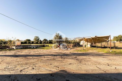 Farm hus i Evora, Evora, Evora - € 1.600.000 | Ref: 318/Q/03731 - foto 40